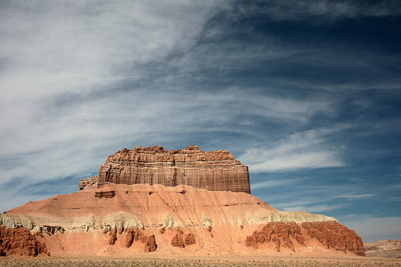 Bison : Antelope Island : Utah : Landscape Photos : Richard Moore : Photographer